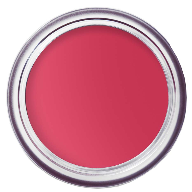 Bobbi Brown Pot Rouge Velvet Matte Guava Punsch 41