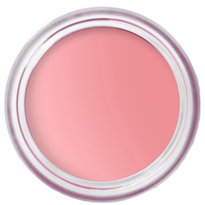 Bobbi Brown Pot Rouge Velvet Matte Petal Pink 4