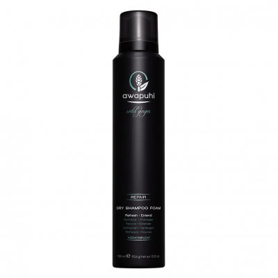 Paul Mitchell Dry Shampoo Foam (195ml)