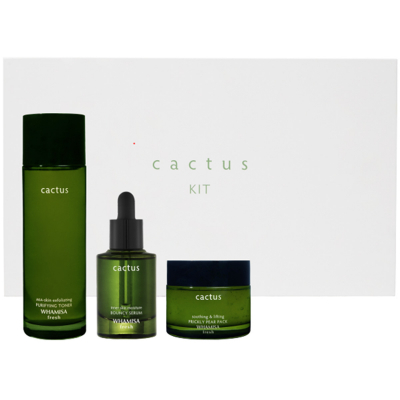 Whamisa Cactus Kit