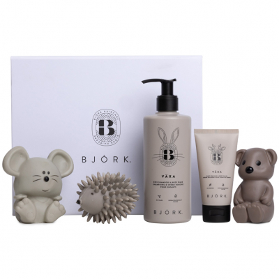Björk Växa Box