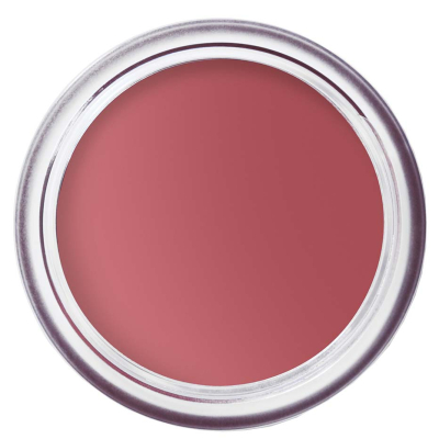 Bobbi Brown Pot Rouge Velvet Matte