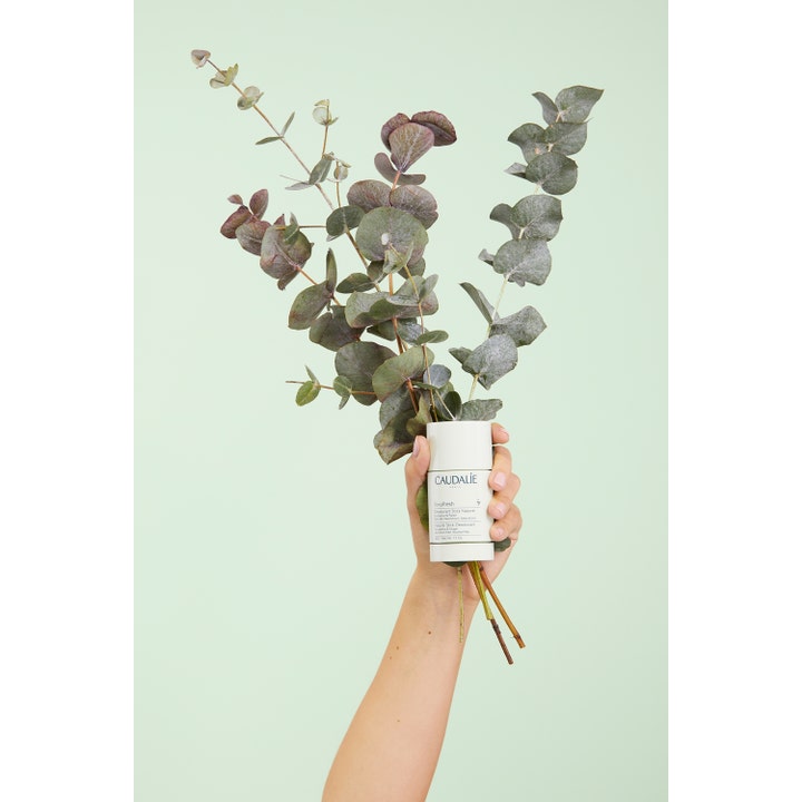 Caudalie Vinofresh Stick Deodorant 50 ml raikastava alumiiniton stick-deodorantti kädessä eukalyptuksen oksien kera.