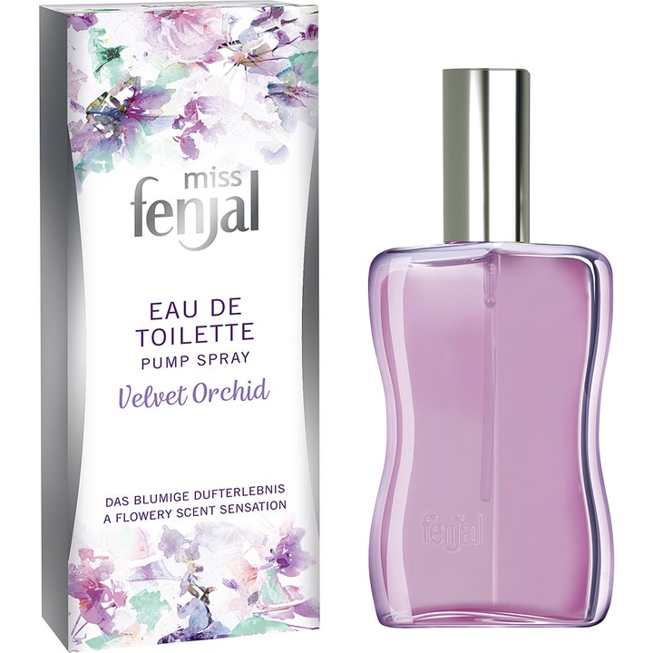 Miss fenjal Velvet Orchid
