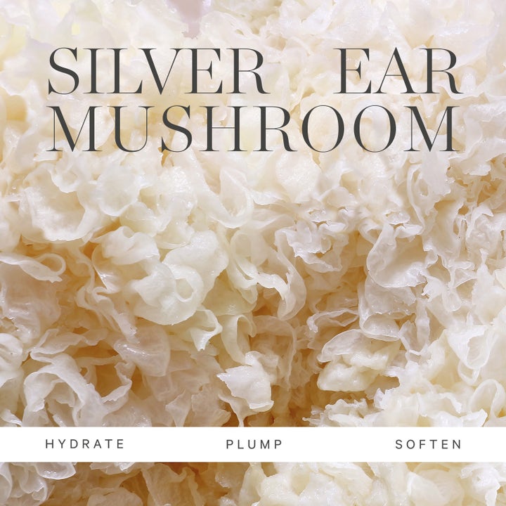 KORA Organics Milky Mushroom Gentle Cleansing Oil 30 ml puhdistusöljy ja Silver Ear Mushroom -ainesosa.