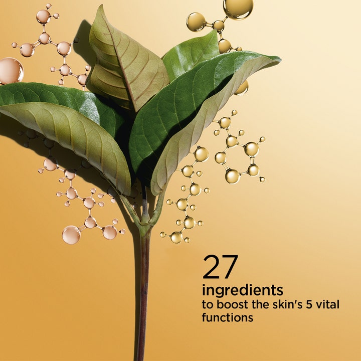 Clarins Double Serum 30 ml uudistava seerumi sisältää 27 ainesosaa kuvattuna lehtien ja kultaisten molekyylien kera.