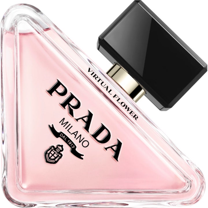 Paradoxe Virtual Flower