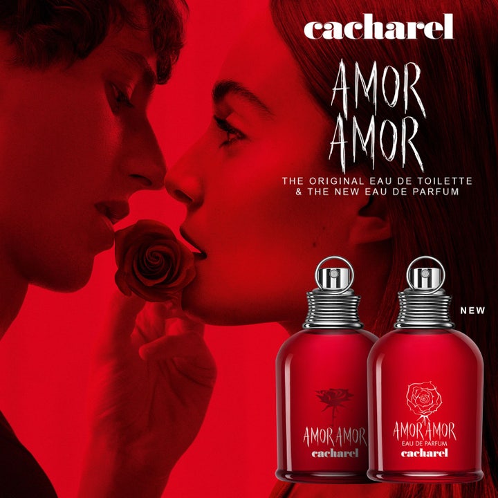 Amor Amor