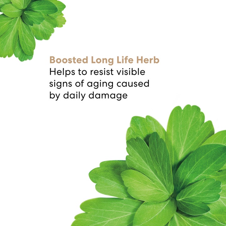 bareMinerals Skinlongevity Long Life Herb Serum 15 ml seerumi ja vihreitä lehtiä sekä teksti Boosted Long Life Herb.
