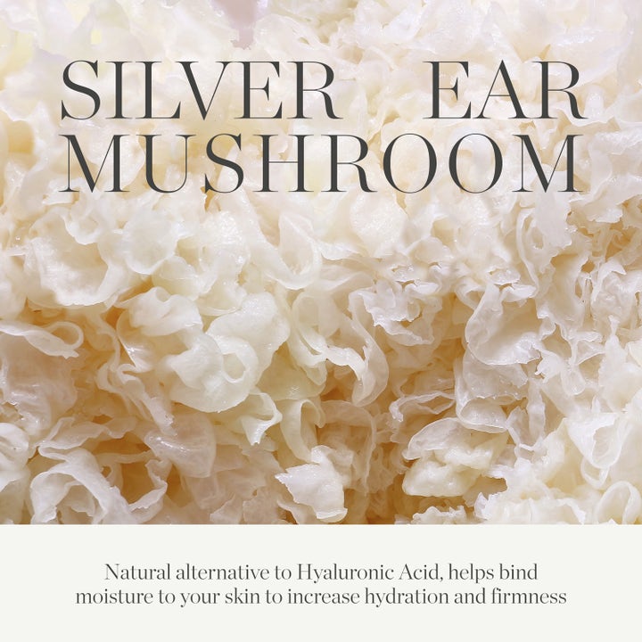 KORA Organics Milky Mushroom 100 ml kasvonaamio ja lähikuva hopeakorvasienestä joka kosteuttaa ja kiinteyttää ihoa.