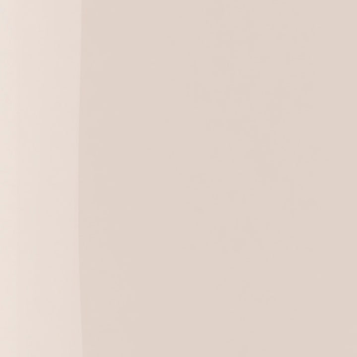 The Wonder Nail Polish Quick dry & Longwear