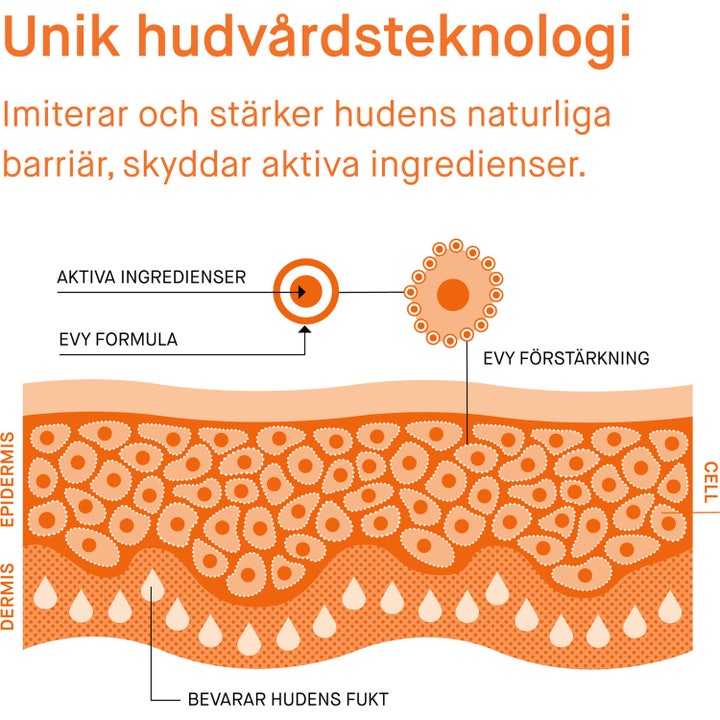 EVY Technology Daily UV Face 75 ml kosteuttava aurinkovoide infografiikka kalvoteknologiasta ja ihon kerroksista