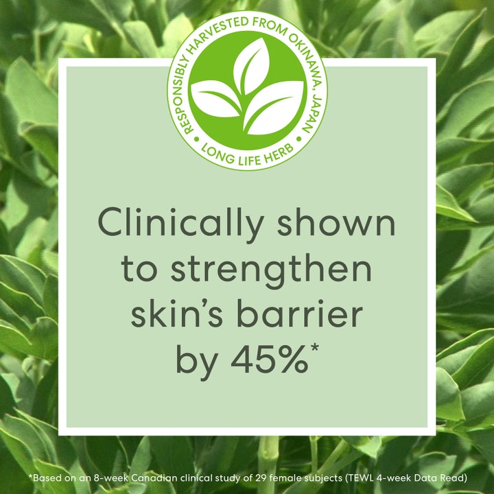 bareMinerals Skinlongevity Long Life Herb Serum 15 ml vahvistaa ihon suojakerrosta 45 % vihreällä lehtitaustalla.