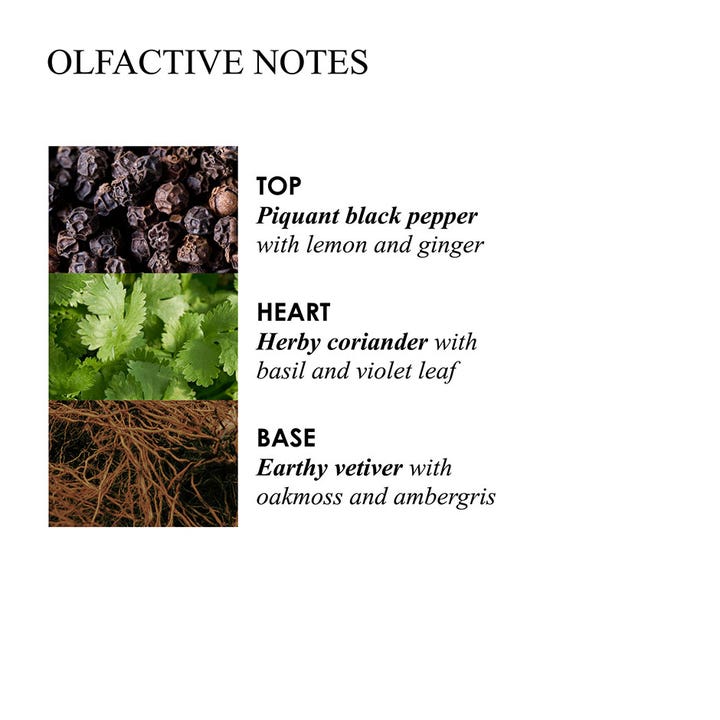 Molton Brown Re-charge Black Pepper 400 ml suihkugeelin tuoksuvivahteet mustapippuri, korianteri ja vetiver.