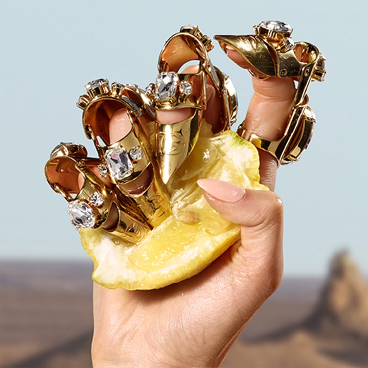Q by Dolce & Gabbana