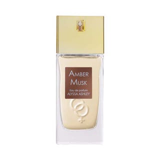 Alyssa Ashley Amber Musk
