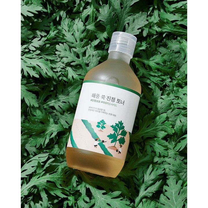 Rauhoittava Round Lab Mugwort Calming Toner 300 ml kasvovesi vihreiden marunalehtien päällä.