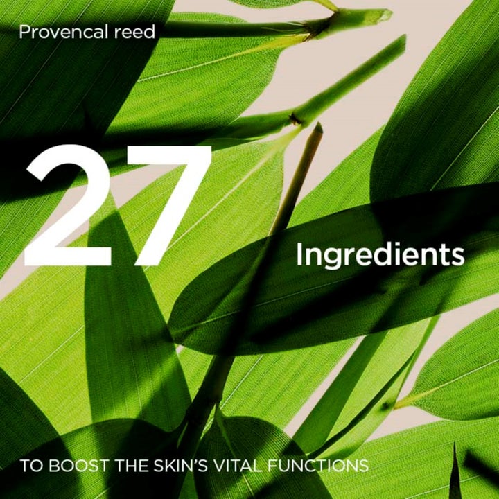 Clarins Double Serum Light Texture 50 ml seerumi ja Provencal reed sisältäen 27 ainesosaa ihon elvyttämiseen.