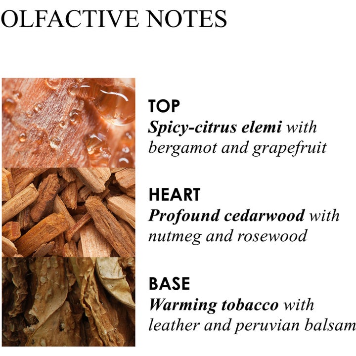 Molton Brown Tobacco Body Wash 300 ml suihkugeeli infografiikka tuoksunuoteista kuten setripuu ja tupakka.
