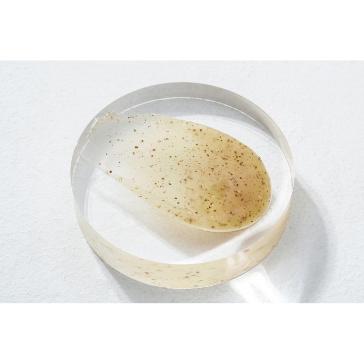 Mixsoon Master Gentle Recipe Foam Cleanser 150 ml hellävarainen puhdistusvaahto ja geelimäinen koostumus kasvinosilla.