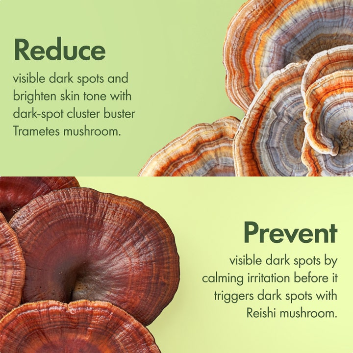 Origins Dr. Weil Mega-Mushroom 30 ml kirkastava seerumi ja ainesosat Trametes- sekä Reishi-sienet vaaleanvihreällä taustalla.