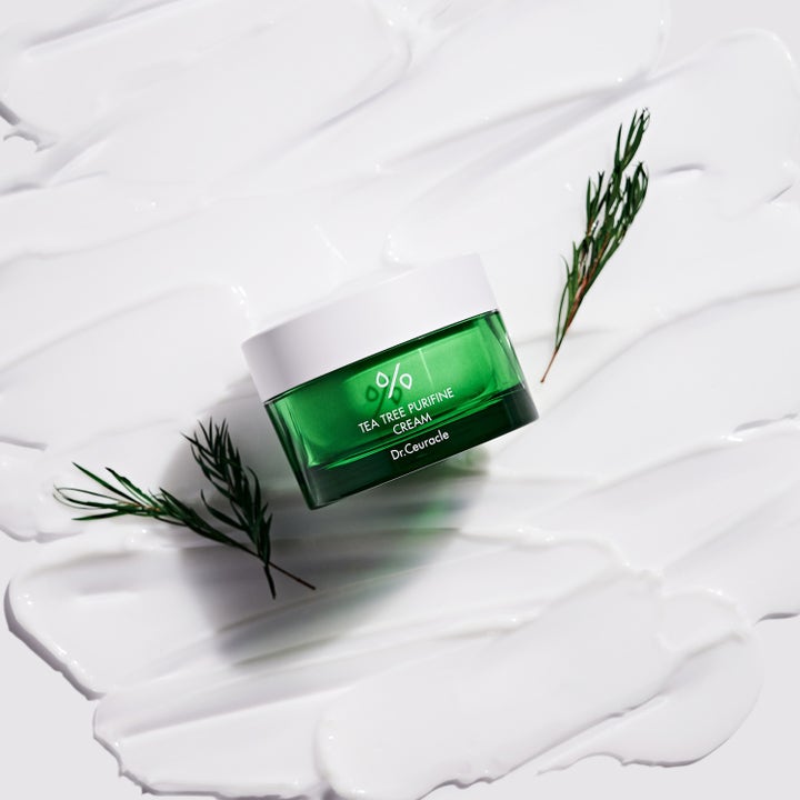 Dr. Ceuracle Tea Tree Purifine Cream 50 g rauhoittava kasvovoide vihreässä purkissa valkoisen voiteen päällä.
