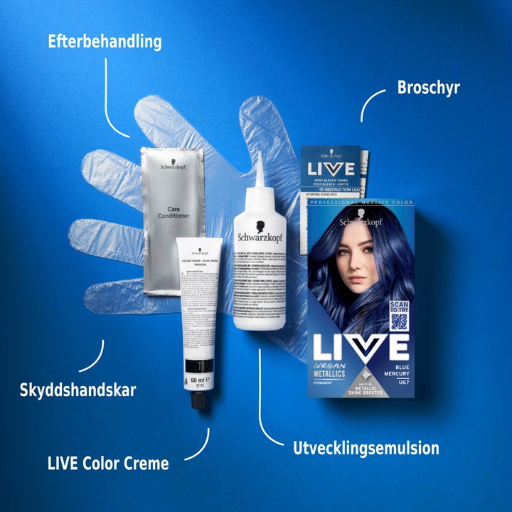 Live Intense Color