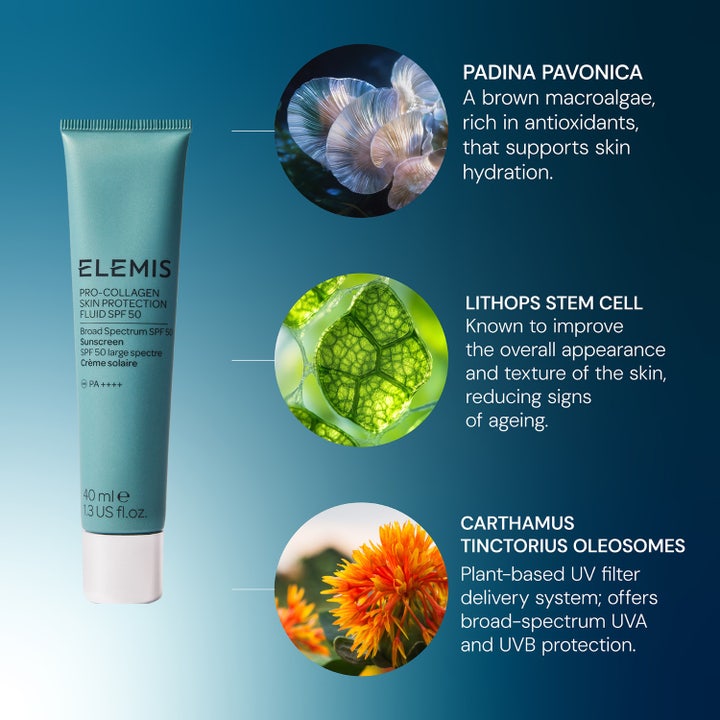 Elemis Pro-Collagen Skin Protection Fluid SPF50 40 ml aurinkovoide ja ainesosat kuten levä ja kasviuutteet.