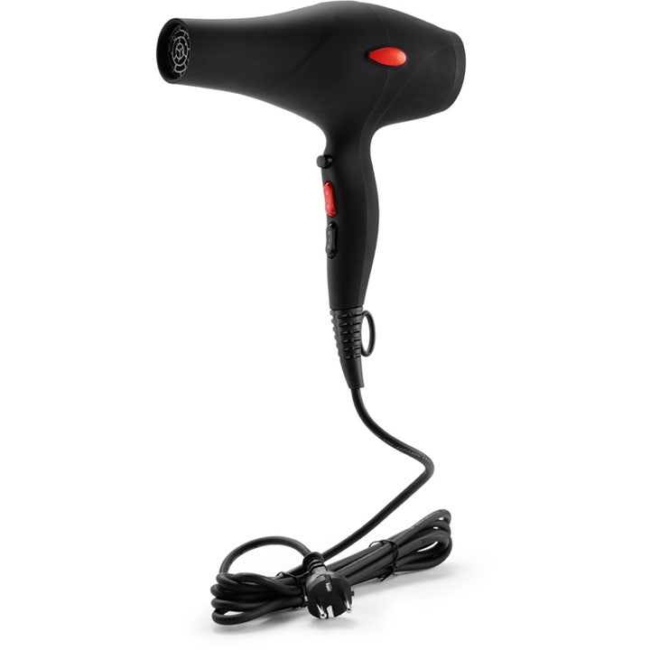 Pro DC Dryer