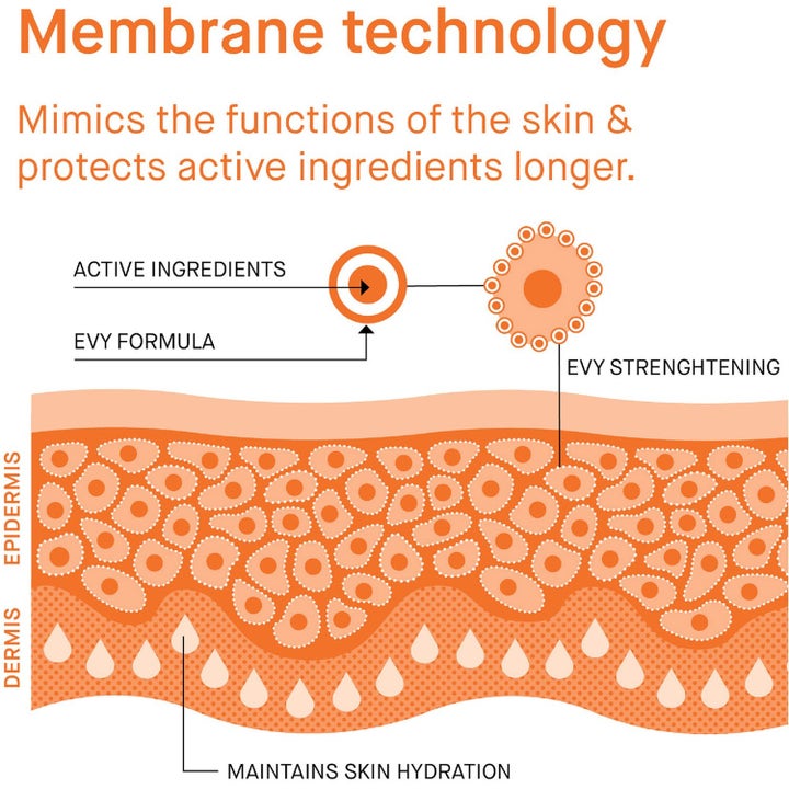 EVY Technology Sun Protection Set aurinkosuojamousse infografiikka, joka esittää ihon kalvoteknologian toimintaa.
