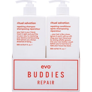 Evo Buddies Repair