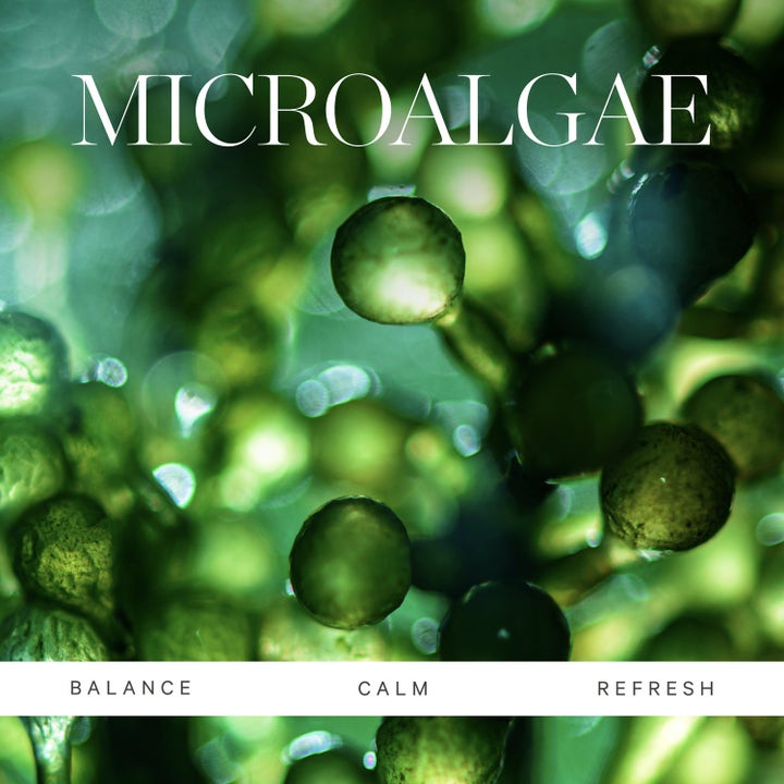 KORA Organics Active Algae 15 ml kasvovoide lähikuvassa vihreää mikrolevää ja tekstit Balance Calm Refresh.