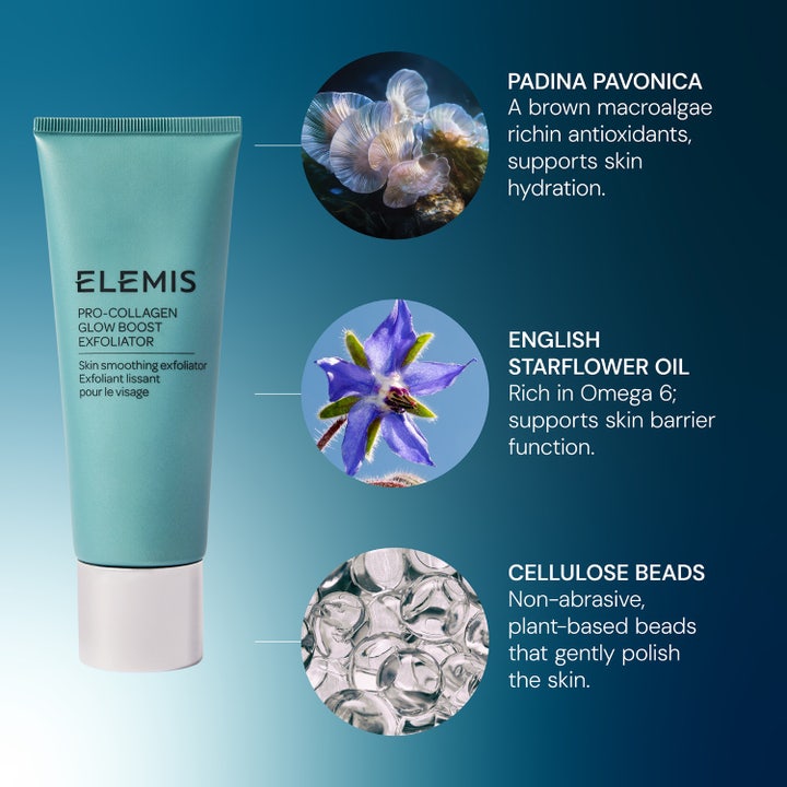 Elemis Pro-Collagen Glow Boost Exfoliator 100 ml kuorintavoide ja sen ainesosat Padina Pavonica sekä kurkkuyrtti.