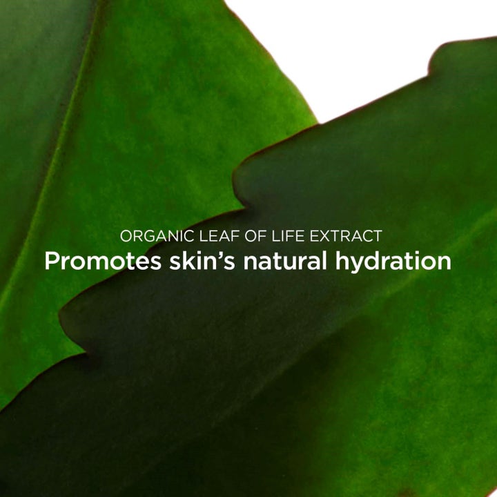 Clarins Fresh Scrub 50 ml virkistävä kuorintavoide sisältää itulehtiuutetta joka edistää ihon kosteutusta.