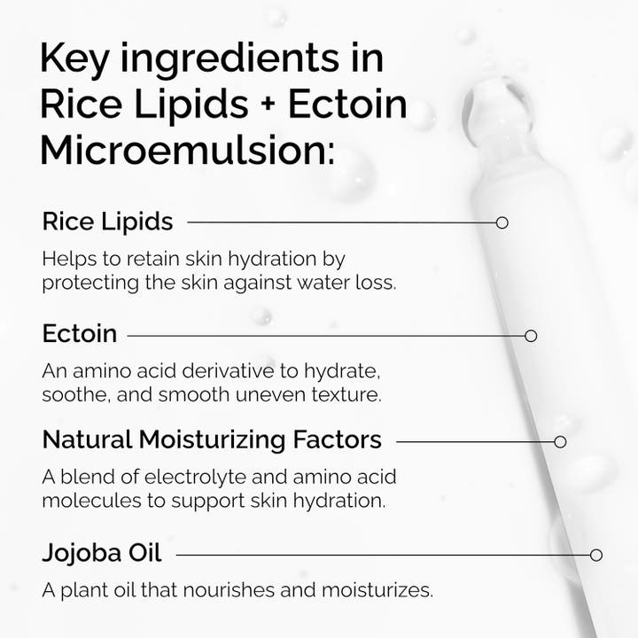 The Ordinary Rice Lipids + Ectoin Microemulsion 60 ml kosteuttava kasvovoide ja infografiikka ainesosista.
